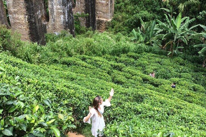 Tour privato di Galle o Kandy di un'intera giornata con una guida esperta