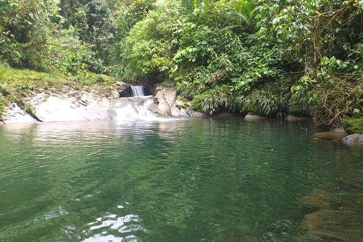 Privat tur i Amazonas jungle med et besøg i huler og frokost