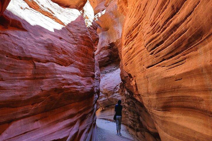 Great Chamber/Peekaboo Slot Canyon UTV Tour 4 timer