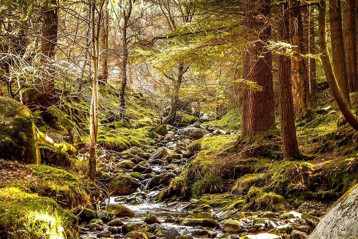 Tour privato di 8 ore a Glendalough e Wicklow da Dublino