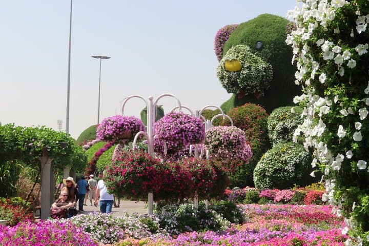 Dubai Miracle Garden Entry Ticket