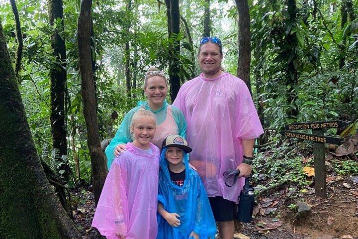 Blue River Waterfall en Rainforest Full Day Tour