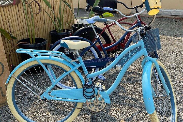 Strand Cruiser Cykeluthyrning Hela dagen Solana Beach