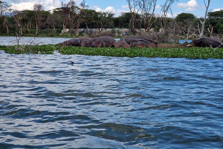 Day Tour To Hell's Gate National Park and Optional Boat Ride on Lake Naivasha.
