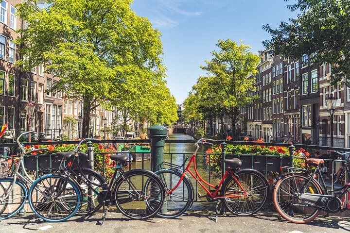 Amsterdam Highlights Small-Group Walking Tour