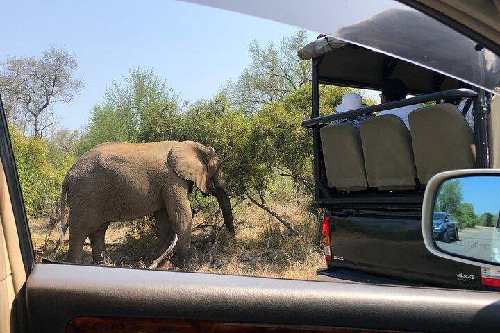 Excursion d'une journée au parc national Kruger