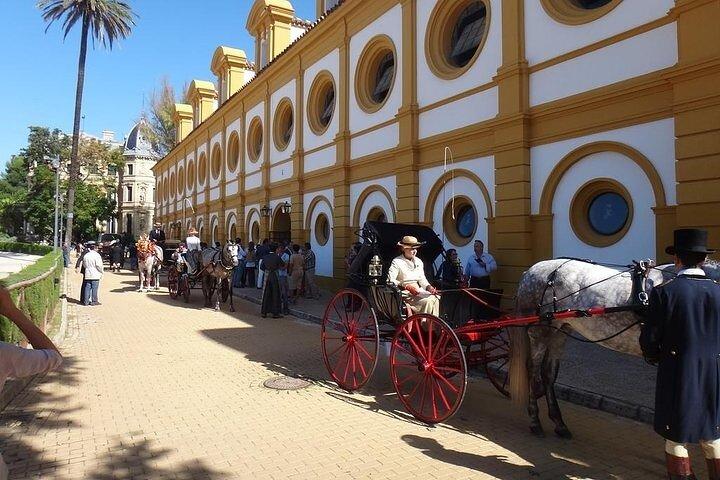 Jerez en Cadiz Dagtrip vanuit Sevilla