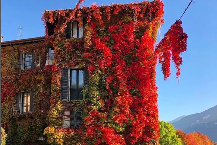 Lake Como & Bellagio Day Trip with Boat Cruise