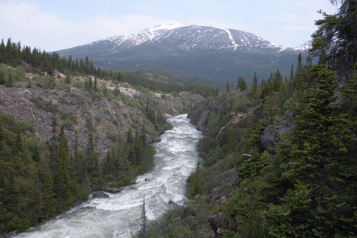 Summit Experience & Yukon Suspension Bridge Tour