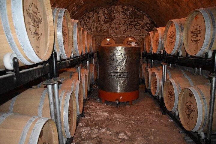 Trasferimento privato da San Miguel de Allende a Tequila con 2 ore per la visita della città
