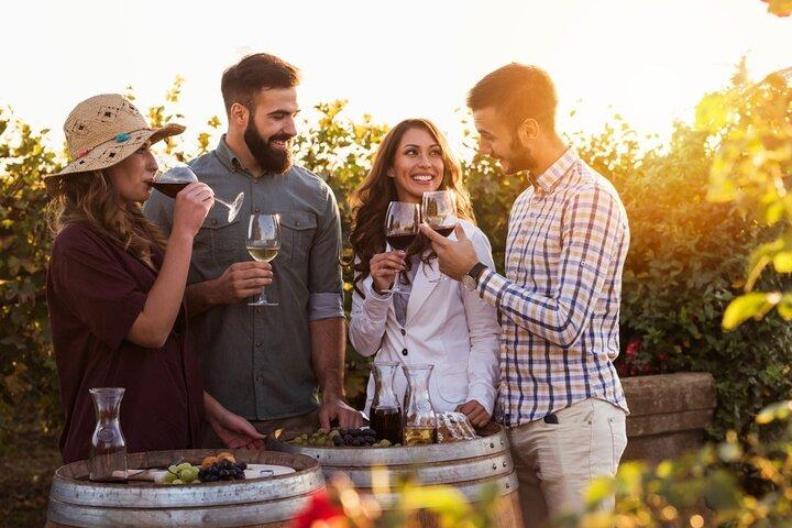 Tour privato a piedi del patrimonio Areni e degustazione di vini