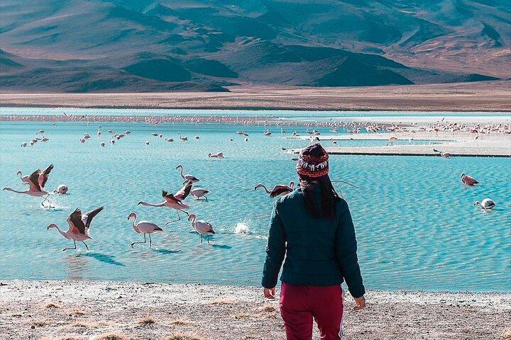 Tour privado de San Pedro de Atacama Chile ao Salar de Uyuni