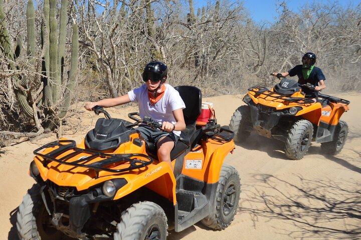 Tour in ATV singolo dalla spiaggia e dal deserto di Migriño