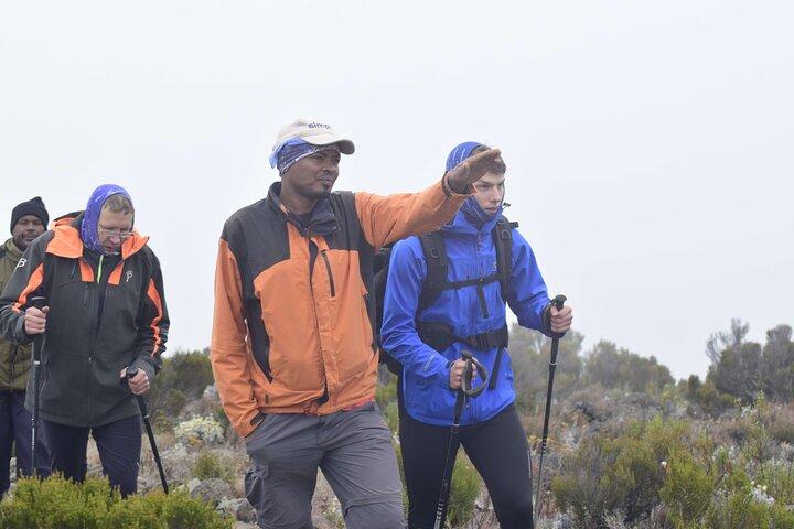 Billig 6 dage Kilimanjaro klatre tur via Marangu Route