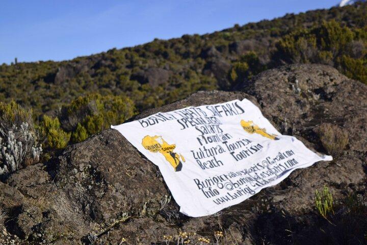 Billig 6 dage Kilimanjaro klatre tur via Marangu Route
