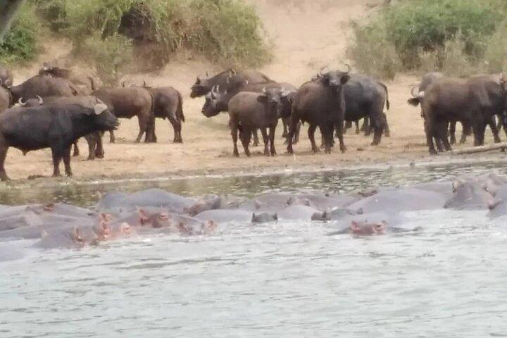 5 dages privat Kidepo Valley Park Safari i Uganda