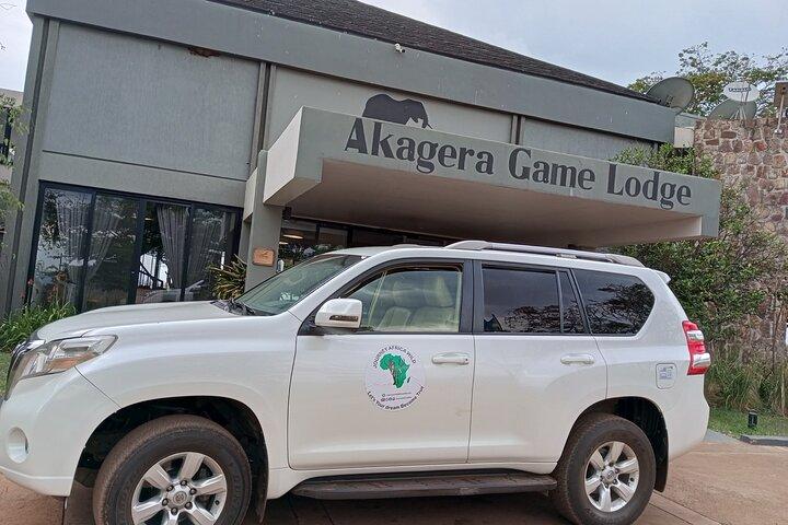 Safari privado de dia inteiro no Parque Nacional Akagera com almoço