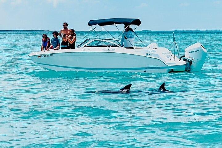 Tour dei delfini e dello snorkeling di Key West - Piccolo gruppo