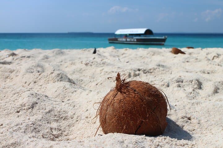 Stone Town and Prison Island Tour (Full Day)