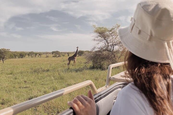 4 Days Masai Mara and Lake Nakuru Mid-Luxury safari