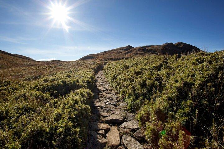 Mt Pulag Private Tour Viagem noturna saindo de Manila (máximo de 6 viajantes)