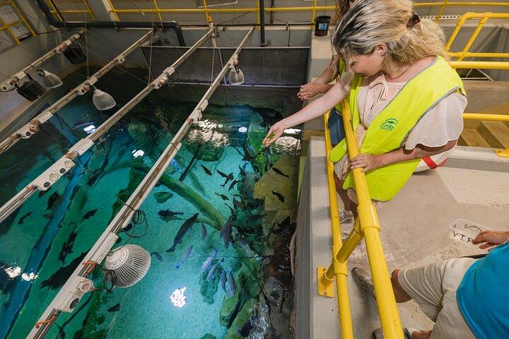 Boleto de encuentro de vida marina del acuario de Cairns