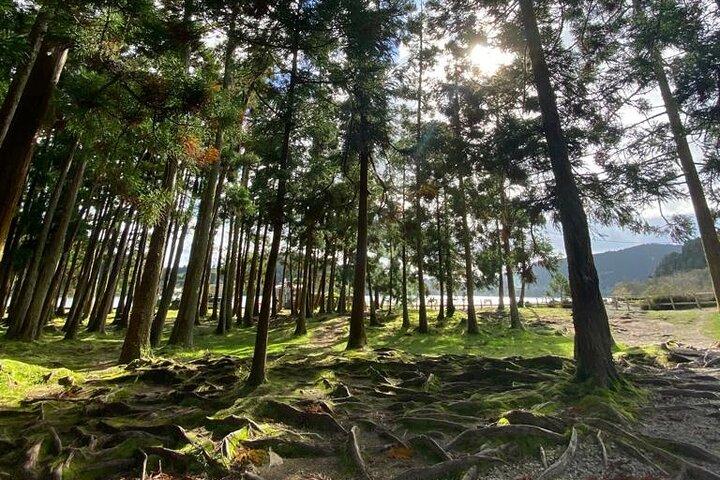 Visite privée de Lagoa do Fogo et Furnas