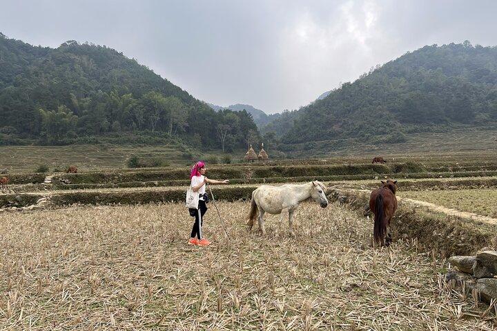 Cao Bang Easy Trekking Tours 2Days/1 Night Ban Gioc Waterfall ET1