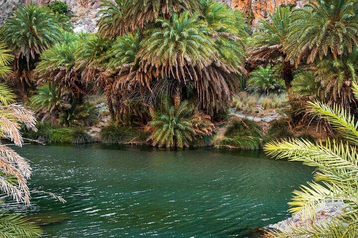 Preveli Strand og Plakias Heldagstur fra Rethymno