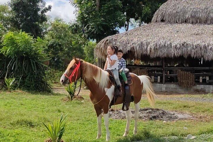 Passeio a cavalo perto de Santo Domingo com embarque e desembarque