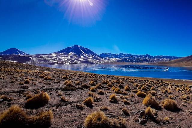 Altiplanic Lagoons