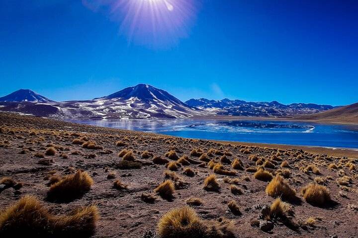 Altiplanic lagoons, San Pedro de Atacama