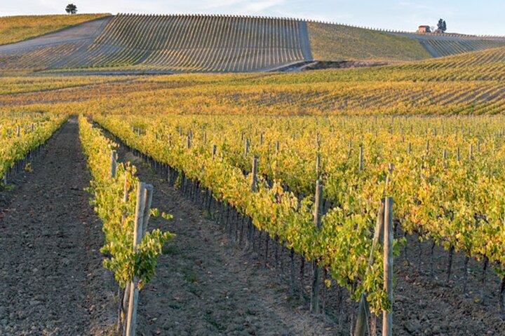 Tour de vinho Tuk Siena
