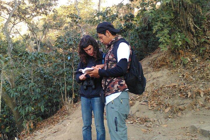 Expérience privée d'observation des oiseaux de 5 heures à San Juan La Laguna
