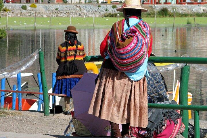 Transfert privé d'Arequipa à Puno, chauffeur anglophone