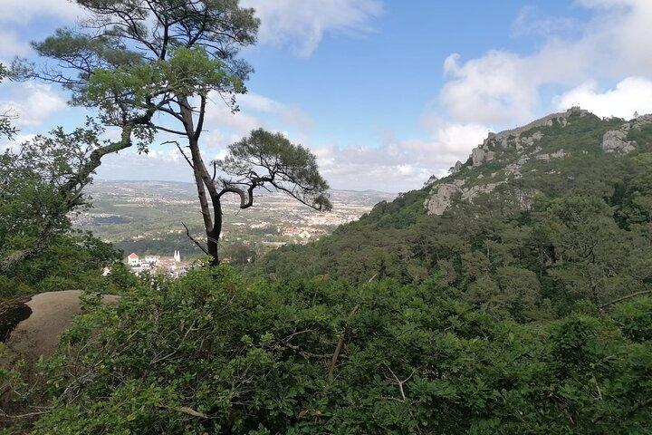 Private Tuk-Tuk-Tour durch die Serra de Sintra