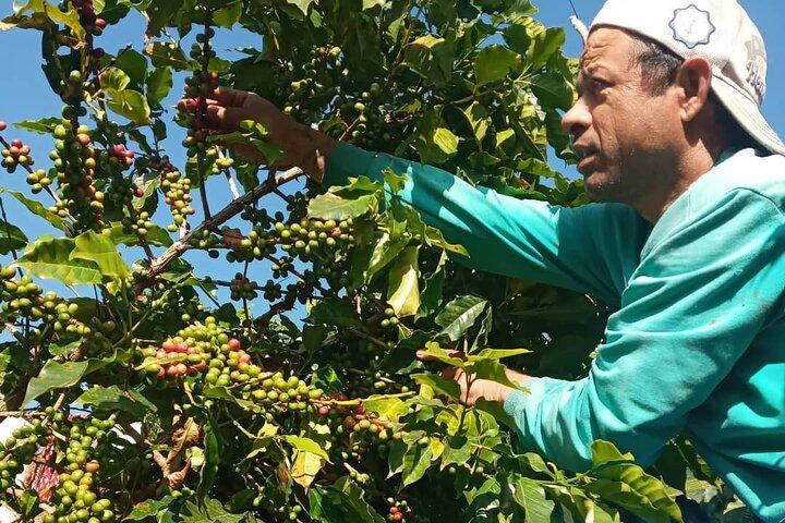 サランコット村のコーヒー文化と本格的なローカル ライフ ツアー