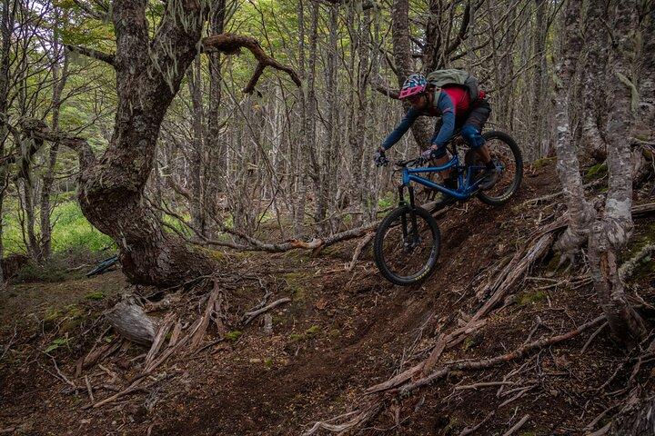 Mountainbikeäventyr i Punta Arenas
