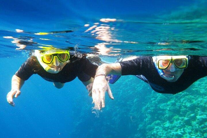 Dykning i Hurghada