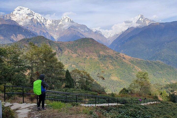Annapurna Poon Hill Sunrise Trek