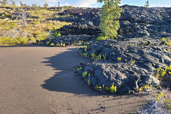 Private Tour durch den Hawaii Volcanoes National Park