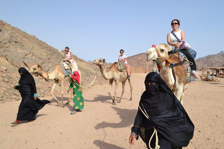 Hurghada Desert Safari: Jeep, Quad Bike, Camel Ride & BBQ-middag