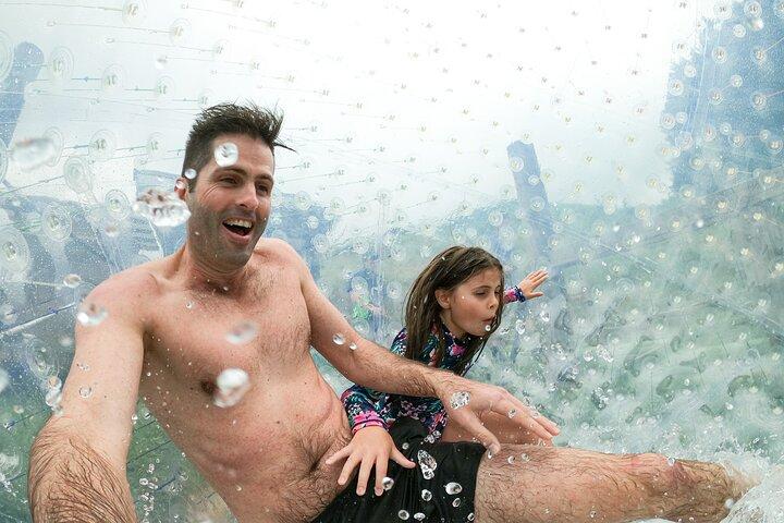 Zorb Aufblasbare Ballfahrt vom Mount Ngongotaha in Neuseeland