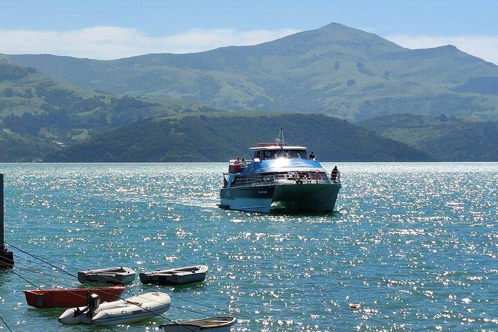 リトルトンショアエクスカーション:ツインハーバーツアー(Lyttelton&Akaroa)