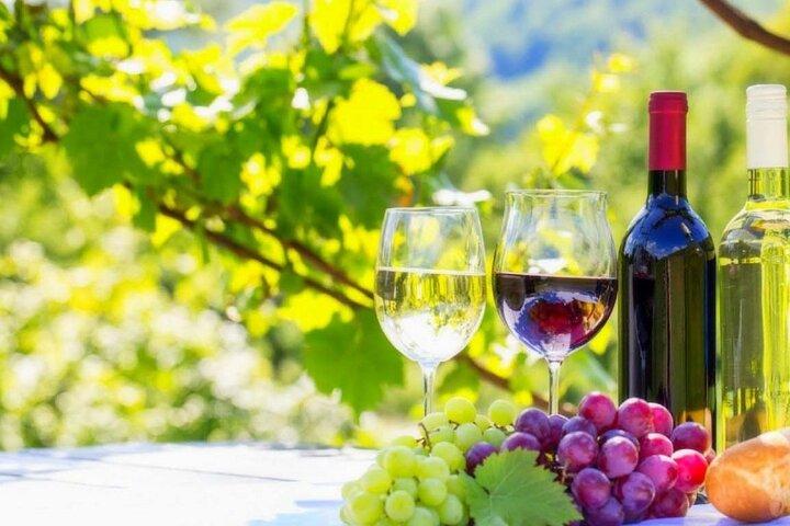 Privérondleiding Kaapstad - Volledige dag Stellenbosch Winelands