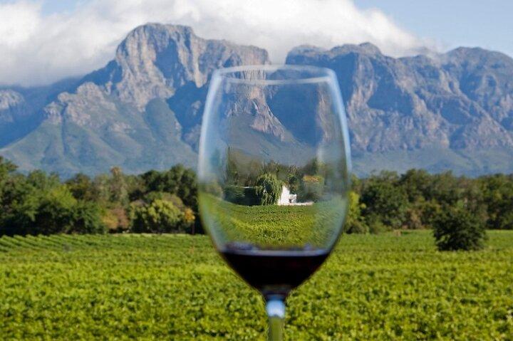 Privérondleiding Kaapstad - Volledige dag Stellenbosch Winelands