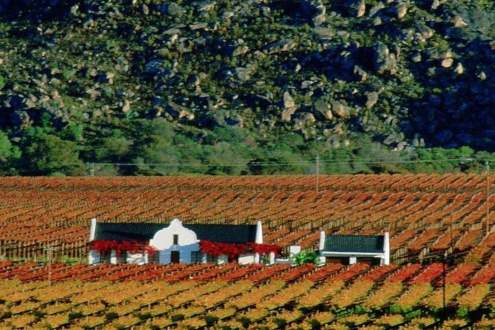 Privérondleiding Kaapstad - Volledige dag Stellenbosch Winelands