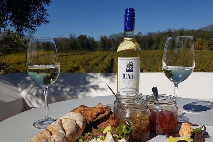 Privérondleiding Kaapstad - Volledige dag Stellenbosch Winelands