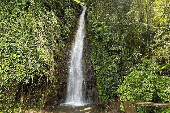 The Cascading Dark View Falls and Beach Experience com Topdawg Taxi and Tours