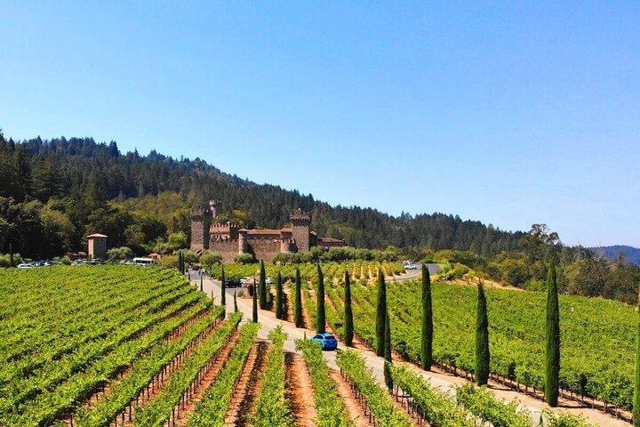 Expérience viticole privée d'une journée dans la Napa Valley